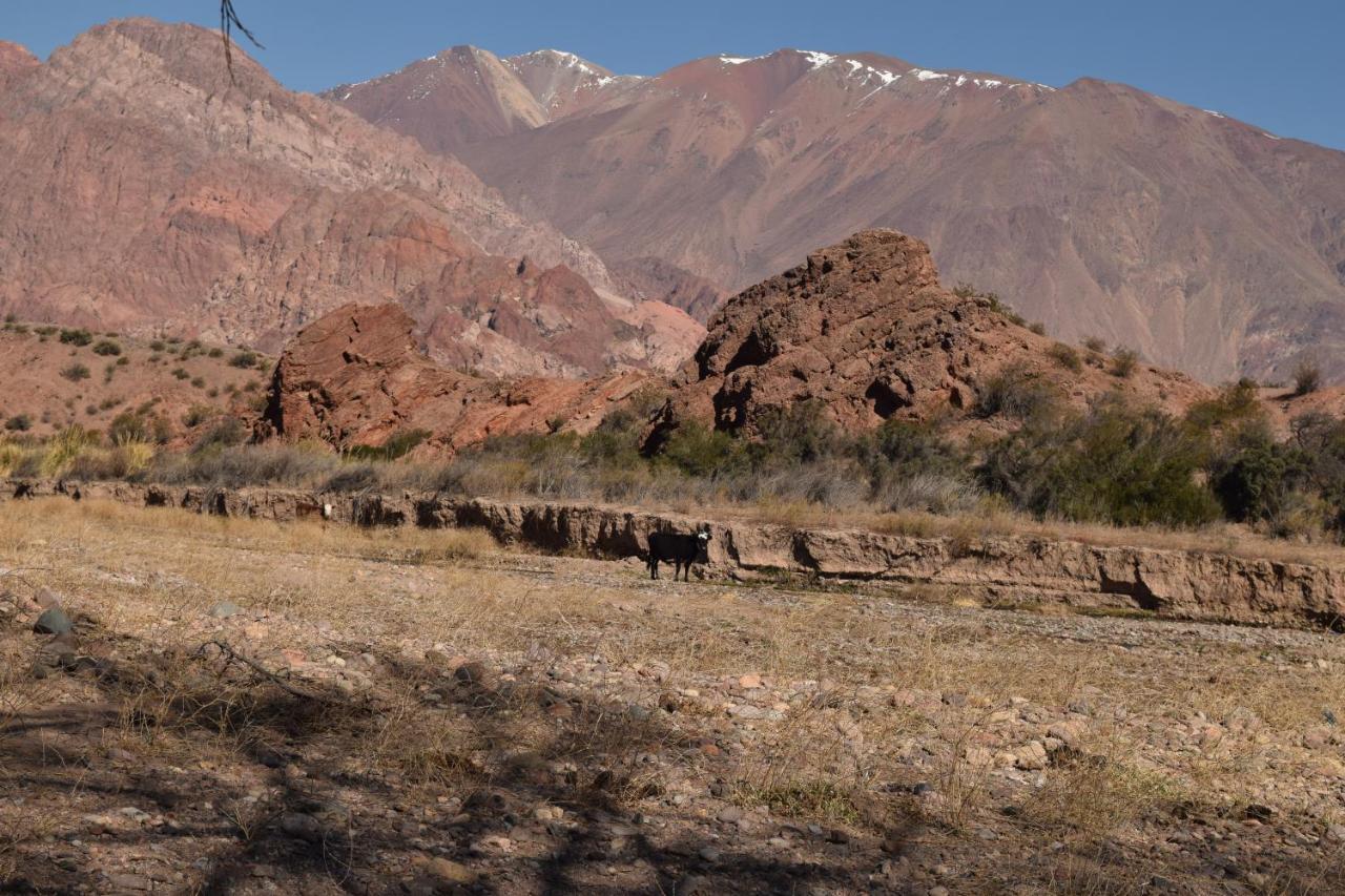 Cabanas De Los Andes Uspallata Esterno foto